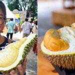 Ada Durian Monthong tanpa Aroma Menyengat