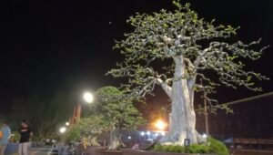 Ingin Tahu Istilah ‘Bonsai’, Simak Ulasannya di Sini