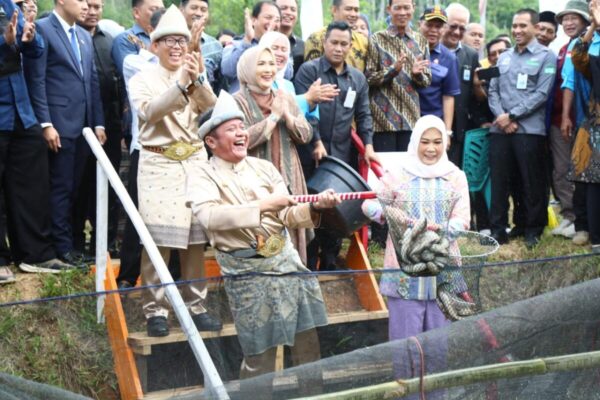 Kampung Budidaya Ikan Gabus OKU Siap Dukung Program GSMP Inisiasi Gubernur Herman Deru