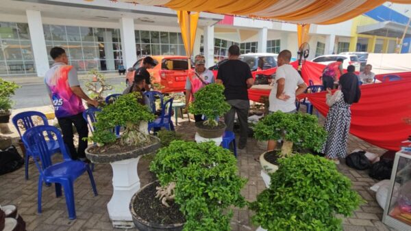 Di Hari Pertama, 100-an Bonsai Sudah Nagkring di Pamnas PPBI Prabumulih Halaman Citimall