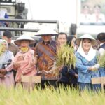 Berkat dedikasi, kontribusi dan keberhasilannya dalam membangun OKU Timur di Bidang Pertanian, Bupati OKU Timur Ir. H. Lanosin, M.T. diganjar Penghargaan oleh Kementerian Pertanian yang diserahkan melalui Gubernur Sumsel H. Herman Deru, di Desa Srimulyo, Madang Suku II, 16 September 2023.