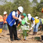 PT Bukit Asam Tbk (PTBA) melakukan budidaya kaliandra merah untuk dikembangkan sebagai biomassa. Hal ini ditandai dengan Soft Launching Reklamasi Bentuk Lain untuk Pengembangan Budidaya Kaliandra Merah di Tanjung Enim, Sumatera Selatan, Senin (9/10/2023).