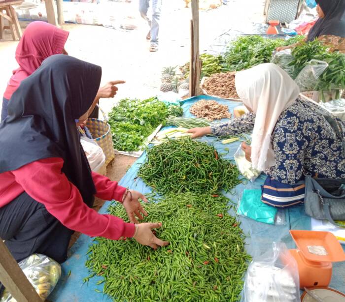 Hingga kini harga cabai dipasaran masih mahal, kondisi ini diduga akibat musim kemarau panjang hingga berimbas pada produksi yang menurun. Foto: Dela/IP08