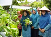 Panen Sayur Hidroponik, Ini kata Ketua PKK OKU Timur dr. Sheila