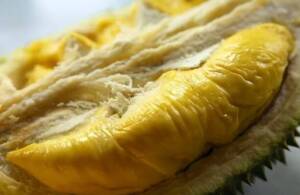 Ingin Aman Makan Durian untuk Kesehatan? Ini Ulasannya