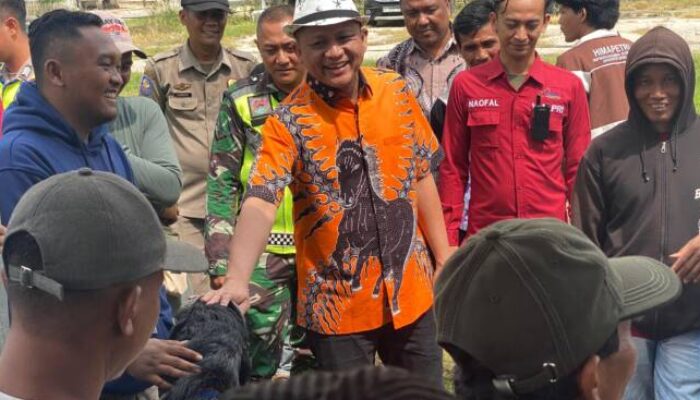 Lewat Latber Kontes Kambing dan Domba, Beri Motivasi Munculnya Peternak Baru di OKU Timur