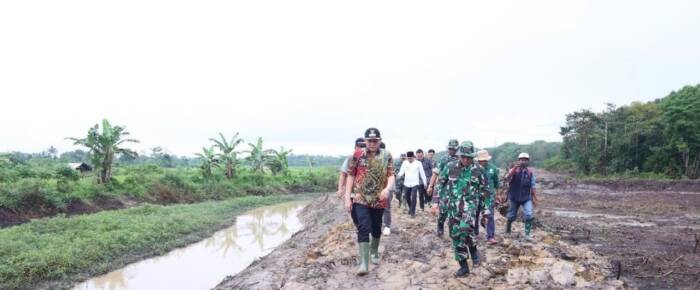 Bupati OKU Timur Ir. H. Lanosin didampingi Kepala Dinas Pertanian Junaidi, S.P, M.M meninjau langsung lokasi di di Kecamatan Cempaka, Jum'at 05 Juli 2024.