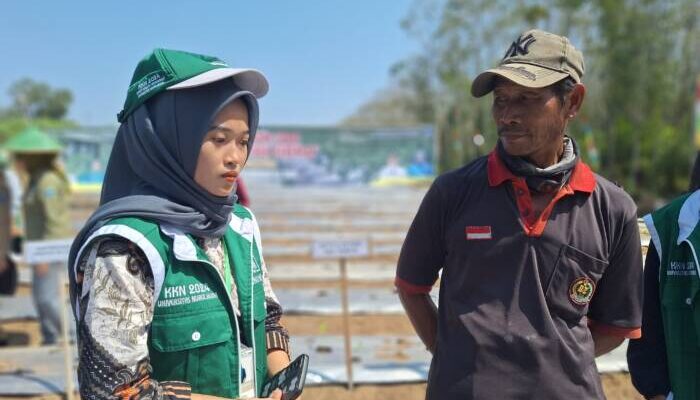 Sukseskan Gerakan Tanam Cabai dan Bawang Merah, Mahasiswa KKN 15 UNUHA Ikut Turun Lapangan 