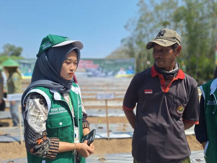 Sukseskan Gerakan Tanam Cabai dan Bawang Merah, Mahasiswa KKN 15 UNUHA Ikut Turun Lapangan 