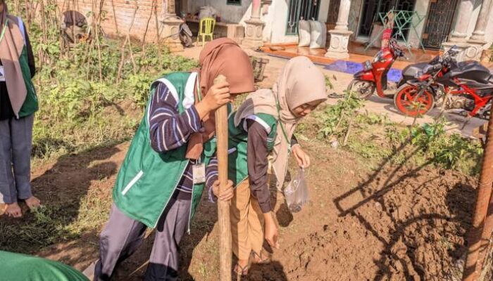 Mahasiswa KKN-T  UNUHA Dorong Inisiatif dalam Mendukung Kemandirian Ekonomi Petani Sayur