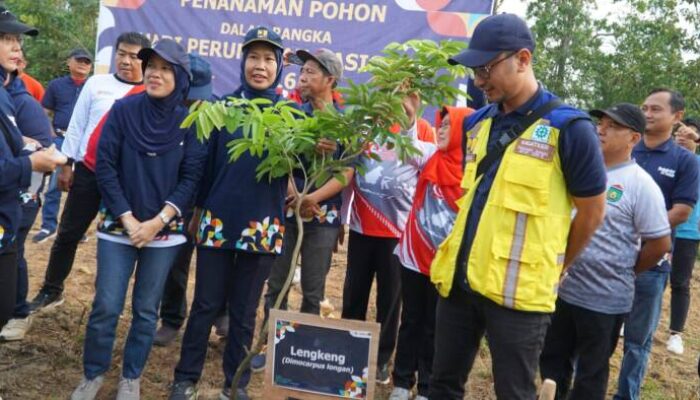 Penanaman Pohon Serentak Peringatan Hapernas, Menteri PUPR Sampaikan Ini