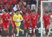 Media Vietnam, Soha, menilai timnas Indonesia berpeluang menggeser negaranya dan Thailand untuk menjadi raja ASEAN.