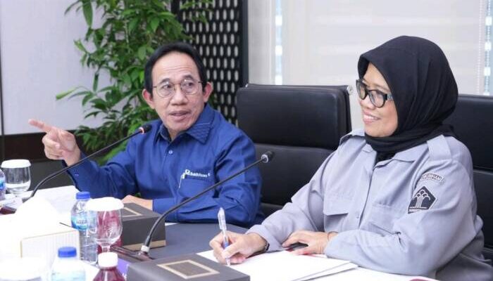 Bukit Asam (PTBA) Terima Hak Paten Aplikasi CISEA dan Lahan Basah Buatan Terapung