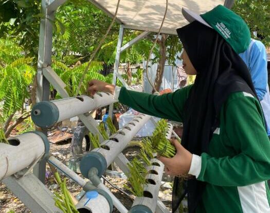 Manfaatkan Barang Bekas, Mahasiswa KKN-T Mandiri III Budi Daya Kangkung Sistem Hidroponik dan Reboisasi di Asrama Putri SMK Nurul Huda