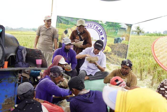 Calon Wakil Bupati OKU Timur nomor nurut 1 HM Adi Nugraha Purna Yudha SH melakukan panen padi bersama dengan masyarakat desa Dadi Rejo Kecamatan Belitang III Minggu (29/9/2024).