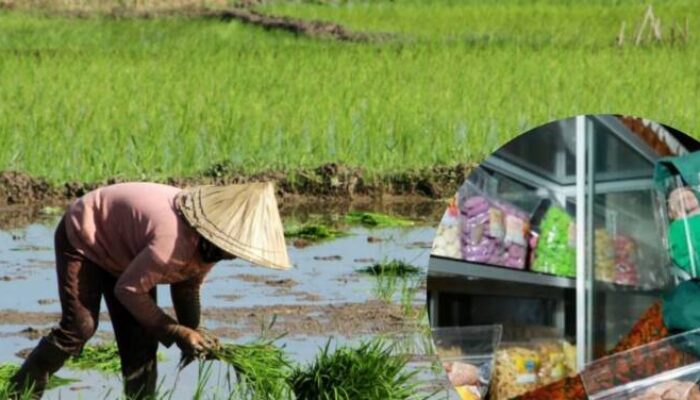 CATAT! Ini 3 Syarat 1 Juta UMKM-Petani dapat Penghapusan Utang dari Prabowo