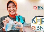 INGIN Tingkatkan Produktivitas Usaha, Program KUR BNI Bisa Jadi Pilihan, Cek di Sini Ulasannya