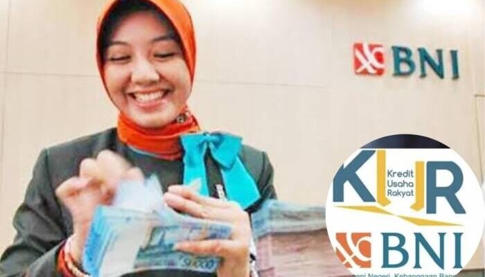 INGIN Tingkatkan Produktivitas Usaha, Program KUR BNI Bisa Jadi Pilihan, Cek di Sini Ulasannya