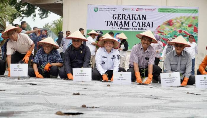 Pj Gubernur Elen Luncurkan Gerakan Tanam Cabai dan Bawang Merah Serentak Se- Sumsel