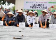 Pj Gubernur Elen Luncurkan Gerakan Tanam Cabai dan Bawang Merah Serentak Se- Sumsel