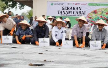 Pj Gubernur Elen Luncurkan Gerakan Tanam Cabai dan Bawang Merah Serentak Se- Sumsel