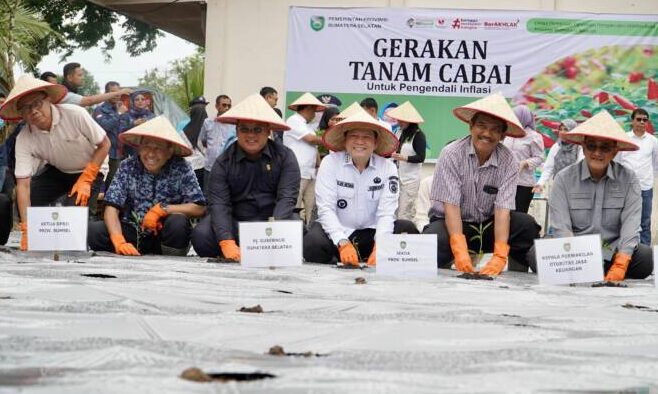 Pj Gubernur Elen Luncurkan Gerakan Tanam Cabai dan Bawang Merah Serentak Se- Sumsel