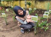 Program Revitalisasi Taman TOGA, Mahasiswa KKN UNUHA Dorong Kesehatan Masyarakat Berbasis Kearifan Lokal