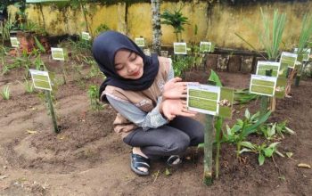 Program Revitalisasi Taman TOGA, Mahasiswa KKN UNUHA Dorong Kesehatan Masyarakat Berbasis Kearifan Lokal