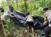 Penemuan mayat seorang pria dì area kebun karet pada Senin (15/9/2025) sore.