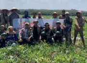 Panen Raya UMKM Semangka Margodadi Angkat Perekonomian Warga