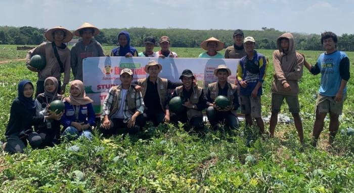 Panen Raya UMKM Semangka Margodadi Angkat Perekonomian Warga