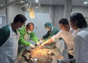 Misteri penemuan mayat di kebun pisang Desa Kotaway, OKU Selatan akhirnya terpecahkan. Korban teridentifikasi sebagai M Muslimin (33). Polisi masih menunggu hasil forensik untuk mengetahui penyebab kematiannya. Foto: Istimewa