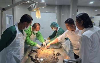 Misteri penemuan mayat di kebun pisang Desa Kotaway, OKU Selatan akhirnya terpecahkan. Korban teridentifikasi sebagai M Muslimin (33). Polisi masih menunggu hasil forensik untuk mengetahui penyebab kematiannya. Foto: Istimewa