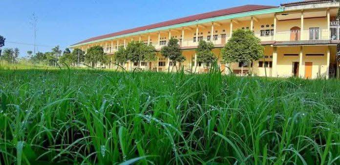 Permasalahan Pendidikan dan Langkah Strategis Pengembangan Sumber Daya Manusia di OKU Timur