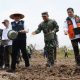 Gubernur Herman Deru Pimpin Tanam Padi Serentak di Banyuasin, Perkuat Sumsel sebagai Lumbung Pangan Nasional