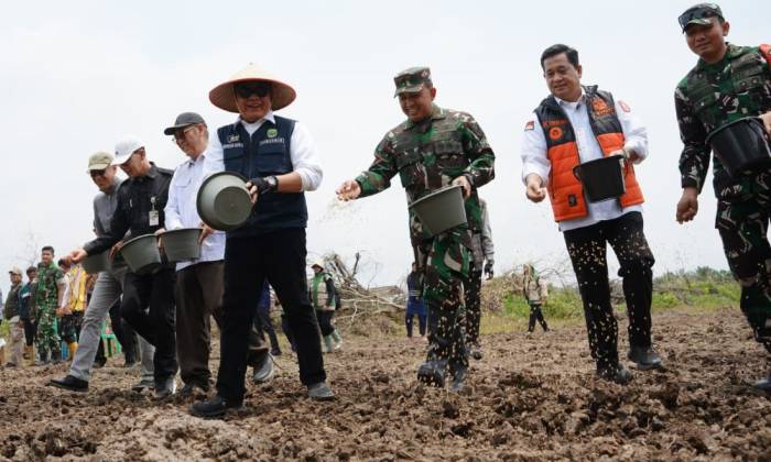 Gubernur Herman Deru Pimpin Tanam Padi Serentak di Banyuasin, Perkuat Sumsel sebagai Lumbung Pangan Nasional